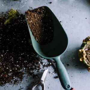Heirloom Seed Collection
