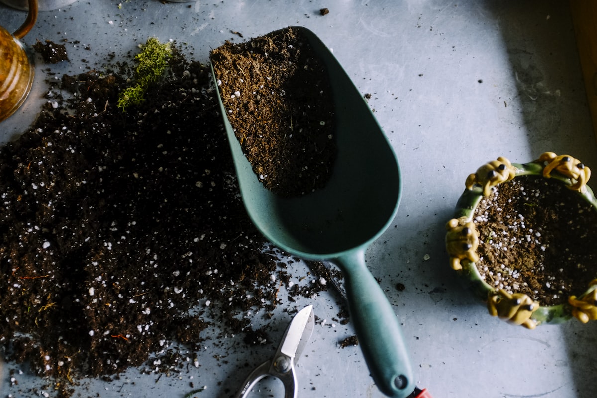 Heirloom Seed Collection