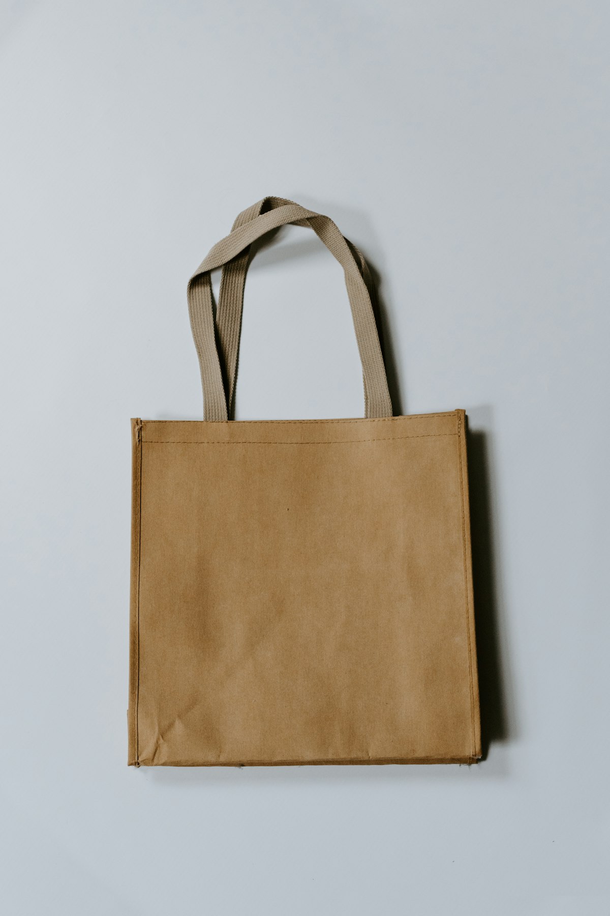 Everyday Canvas Tote